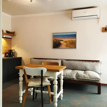 Tesla 29, Lägenhet Veternik