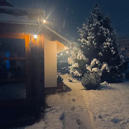 Tesla 29, * Veternik