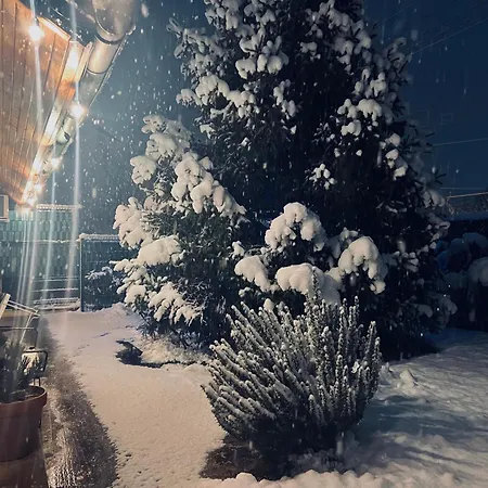 Tesla 29, * Veternik